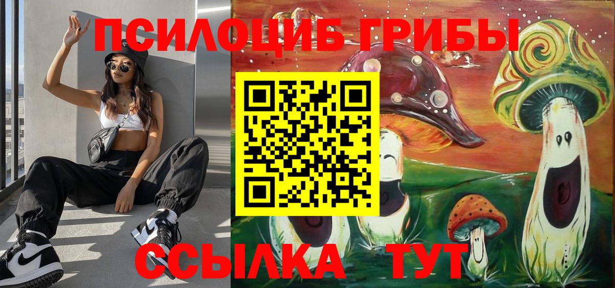 купить наркотик  Псилоцибиновые грибы MAGIC MUSHROOMS  Вход с VPN  Ефремов 
